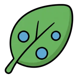 Dew