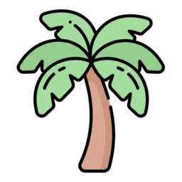 Palm Tree
