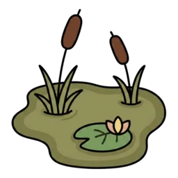 Swamp